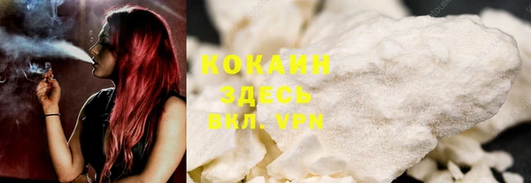сатива Абаза