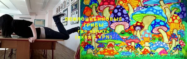 каннабис Алзамай