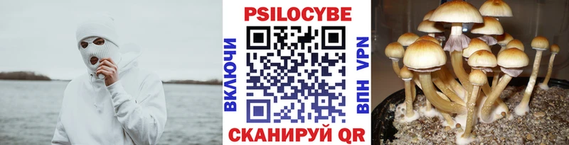 МЕГА tor Козловка сайты даркнета официальный сайт Галлюциногенные грибы ЛСД